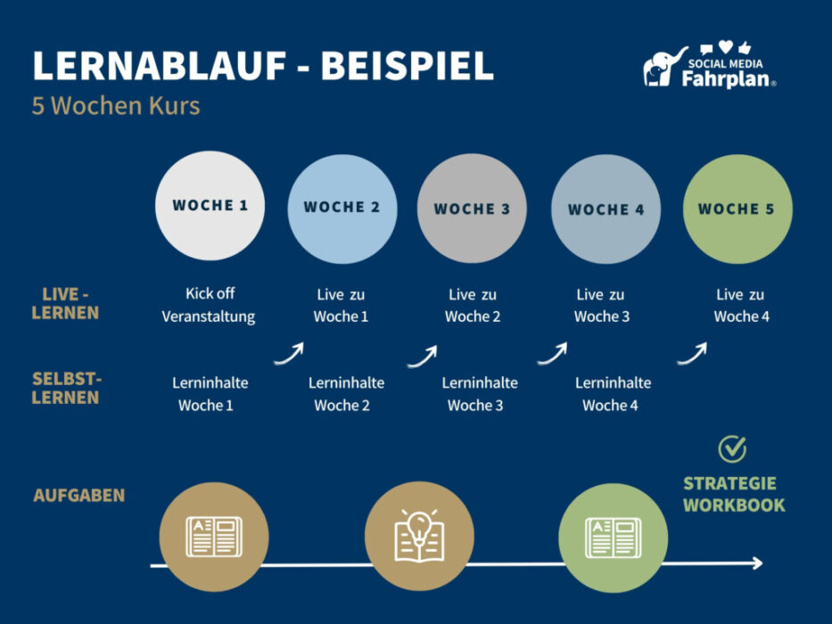 Infografik Lernkonzept Social Media Fahrplan